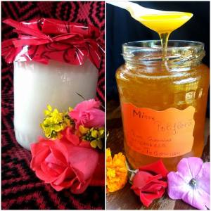 13495032_1347108911970571_4105308948946342498_n